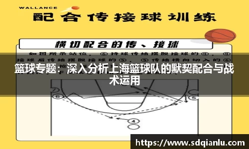 篮球专题：深入分析上海篮球队的默契配合与战术运用